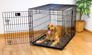dog crate mat
