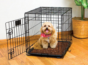 dog crate mat
