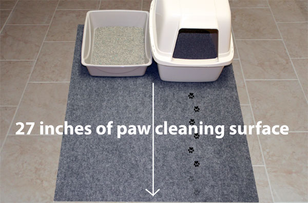 https://drymate.com/wp-content/uploads/2016/10/27-inches-of-paw-cleaning-surface-with-paws.jpg