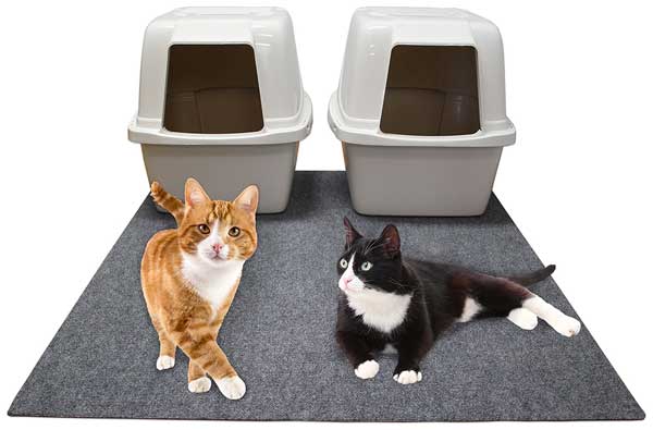 Extra large 2025 cat litter mat